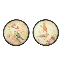 9 x 9 Multi-Color Rustic Bird Plate - Painting Set