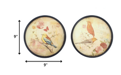 9 x 9 Multi-Color Rustic Bird Plate - Painting Set