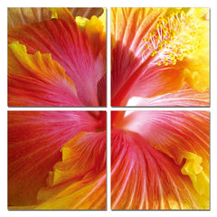 24' Multicolor Canvas 4 Panels Hibiscus Photo