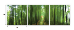 24' Canvas 3 Panels Forest Color Photo