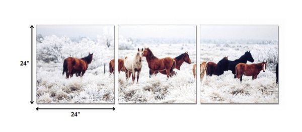24' Multicolor Canvas 3 Horizontal Panels Horses Photo