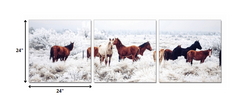 24' Multicolor Canvas 3 Horizontal Panels Horses Photo