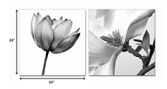 24' Black and White Canvas 2 Panels Photo