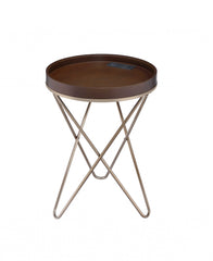 Pearlescent Gold and Dark Brown USB Side Table