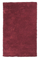 5'x7' Red Indoor Shag Rug