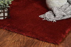 5'x7' Red Indoor Shag Rug
