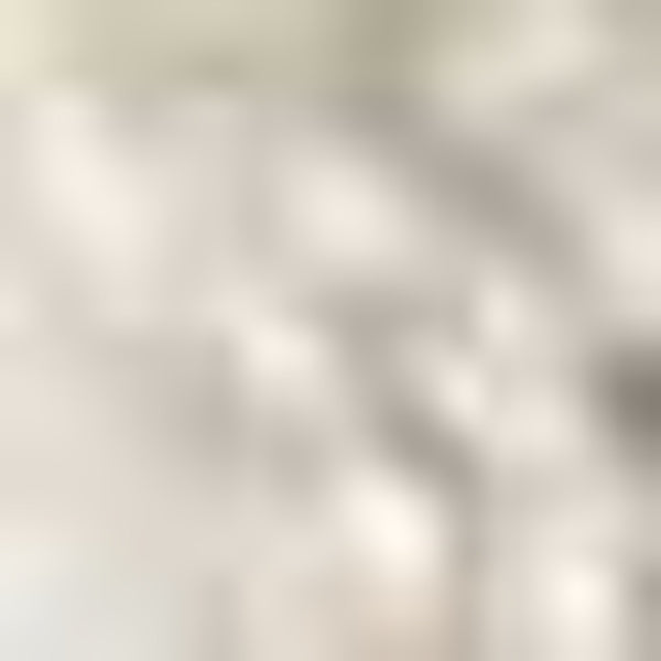 2' x 8' Ivory Frond Leaves Wool Indoor Runner Rug