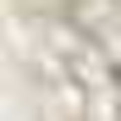 2' x 8' Ivory Frond Leaves Wool Indoor Runner Rug