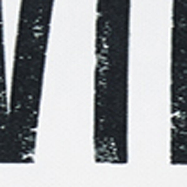 Black and White French Vintage Decorative Throw Pillow Cover