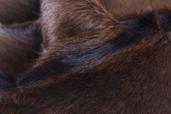 2" x 3" Tricolor Calfskin/Microsuede Contemporary - Area Rugs