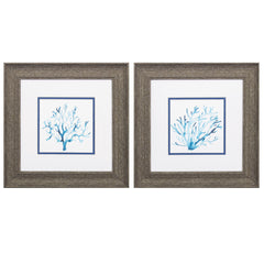 13' X 13' Distressed Wood Toned Frame Azure Seafan (Set of 2)