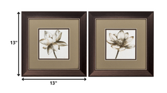 13' X 13' Metallic Bronze Frame Sepia Lotus (Set of 2)