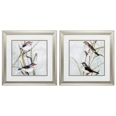 19' X 19' Brushed Silver Frame Neutral Spring (Set of 2)