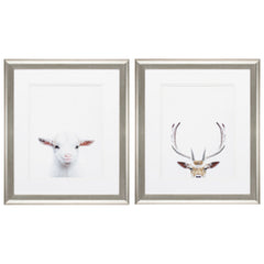 19' X 22' Brushed Silver Frame Goat Deer (Set of 2)