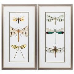 Set of 2 Metallic Bronze Frame Dragonfly Wall Art