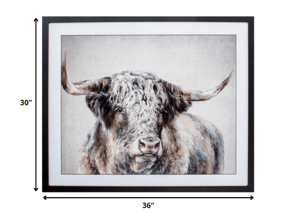 36' X 30' Brown Frame Grand Kyloe Bull