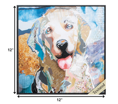 12' X 12' Distressed Black Frame Lab