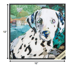 12' X 12' Distressed Black Frame Dalmation