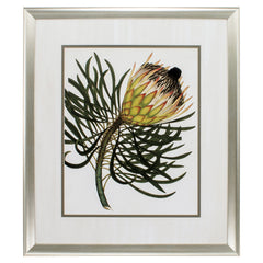 26' X 30' Aged Silver Frame Antique Protea IIi