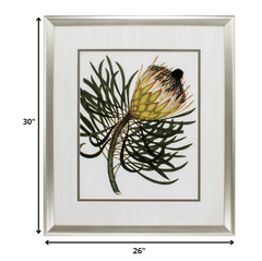 26' X 30' Aged Silver Frame Antique Protea IIi