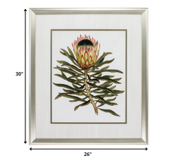 26' X 30' Aged Silver Frame Antique Protea Vi