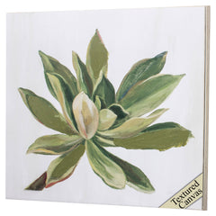 30' X 30' Ligth Wood Toned Frame Succulents I