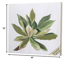 30' X 30' Ligth Wood Toned Frame Succulents I