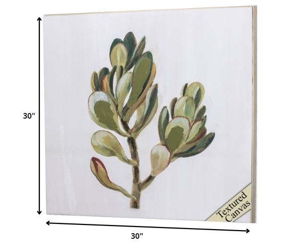 30' X 30' Ligth Wood Toned Frame Succulents II