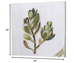 30' X 30' Ligth Wood Toned Frame Succulents II