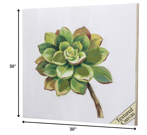 30' X 30' Ligth Wood Toned Frame Succulents IIi