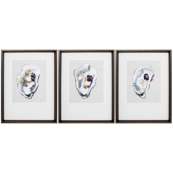 18' X 24' Brushed Silver Frame Oyster Shell Study (Set of 3)