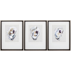 18' X 24' Brushed Silver Frame Oyster Shell Study (Set of 3)