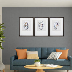 18' X 24' Brushed Silver Frame Oyster Shell Study (Set of 3)