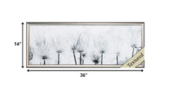 36' X 14' Silver Frame Pasque Flower