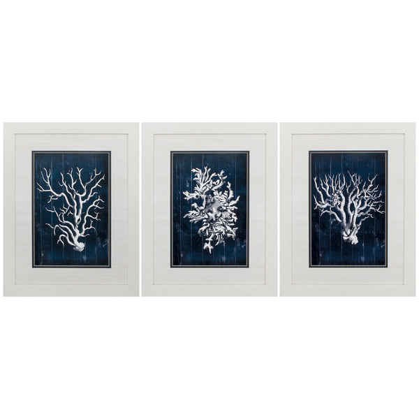 21' X 27' White Frame Wood Coral Blue (Set of 3)