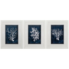 21' X 27' White Frame Wood Coral Blue (Set of 3)