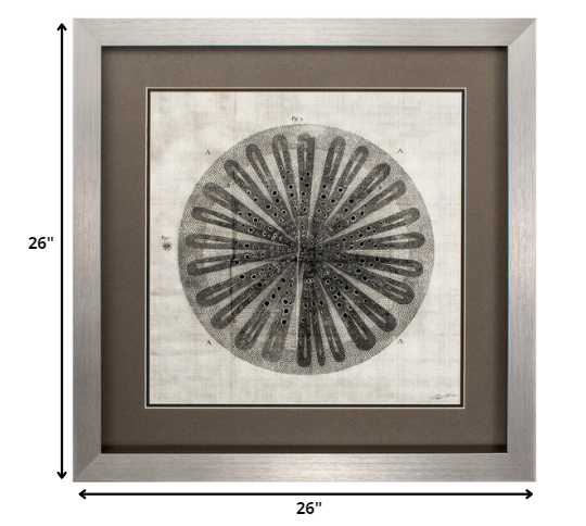 26' X 26' Silver Frame Custom Cross Cut IIi