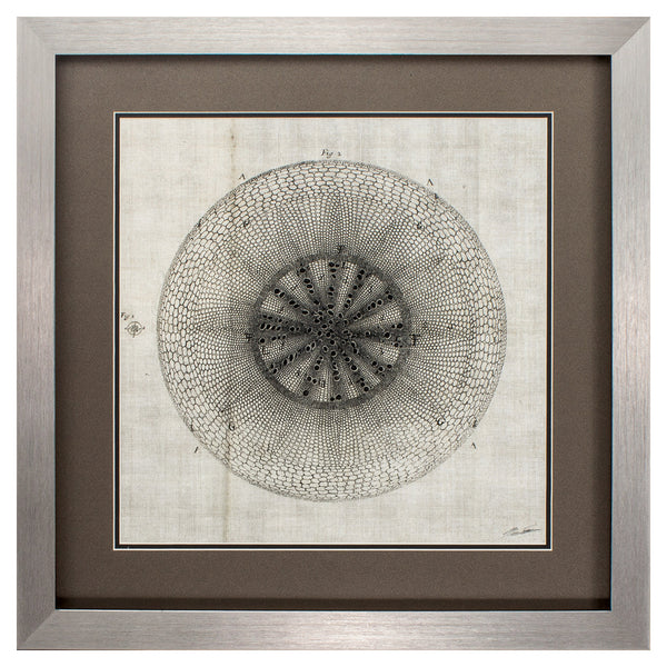 26' X 26' Silver Frame Custom Cross Cut Iv