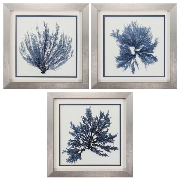 22' X 22' Silver Frame Coastal Seaweed (Set of 3)