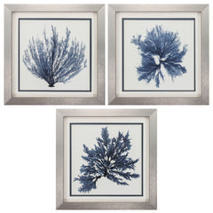 22' X 22' Silver Frame Coastal Seaweed (Set of 3)