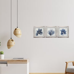 22' X 22' Silver Frame Coastal Seaweed (Set of 3)