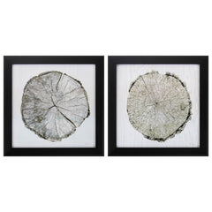 14' X 14' Dark Wood Toned Frame Woodland Years (Set of 2)