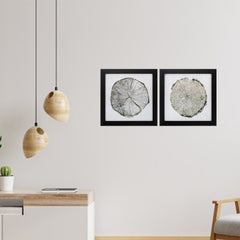 14' X 14' Dark Wood Toned Frame Woodland Years (Set of 2)