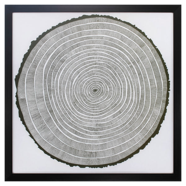 26' X 26' Dark Wood Toned Frame Tree Theory