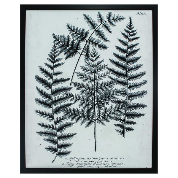 26' X 32' Dark Wood Toned Frame Charcoal Fern Gather I