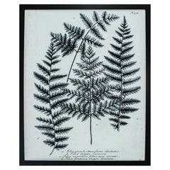 26' X 32' Dark Wood Toned Frame Charcoal Fern Gather I