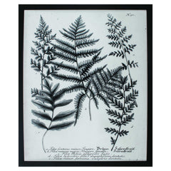 26' X 32' Dark Wood Toned Frame Charcoal Fern Gather II