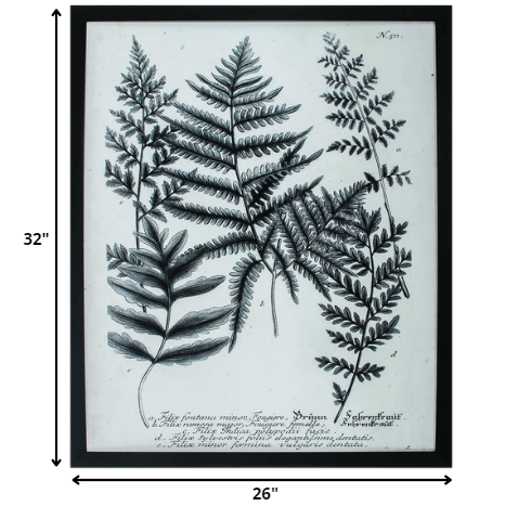 26' X 32' Dark Wood Toned Frame Charcoal Fern Gather II