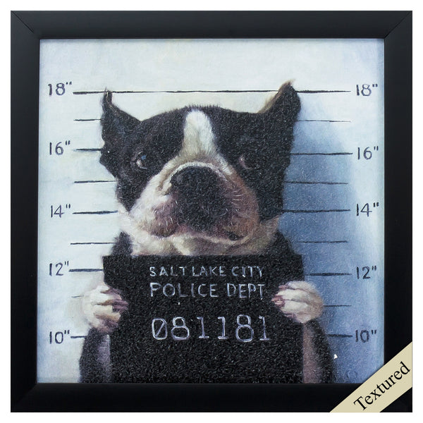 11' X 11' Black Frame Mug Shot