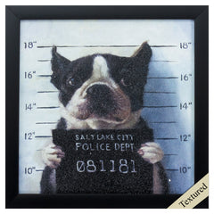 11' X 11' Black Frame Mug Shot